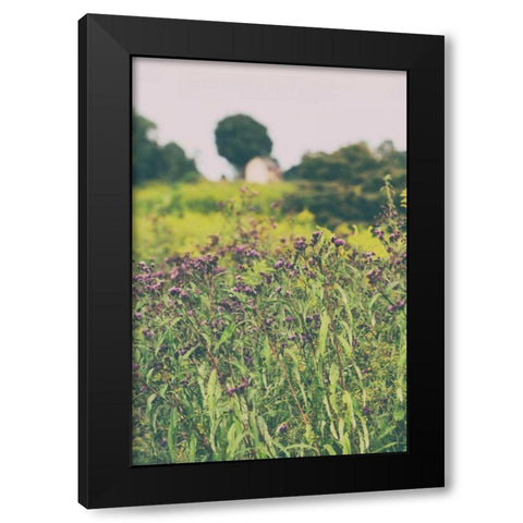 Roadside Flowers Black Modern Wood Framed Art Print with Double Matting by Aledanda