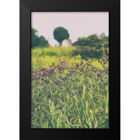 Roadside Flowers Black Modern Wood Framed Art Print by Aledanda