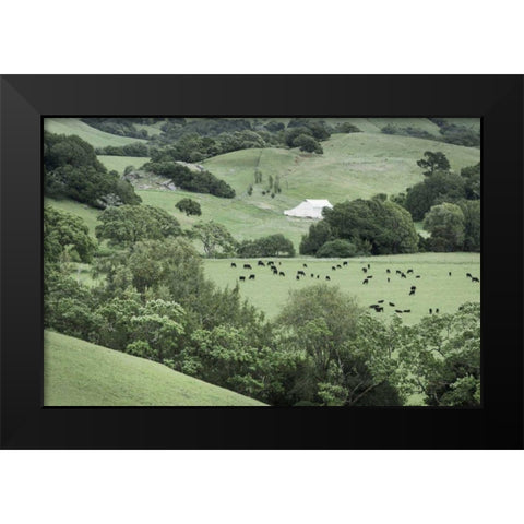 Marin California Ranch Black Modern Wood Framed Art Print by Majchrowicz, Alan