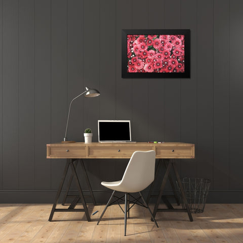 Autumn Flowers I Black Modern Wood Framed Art Print by Marshall, Laura