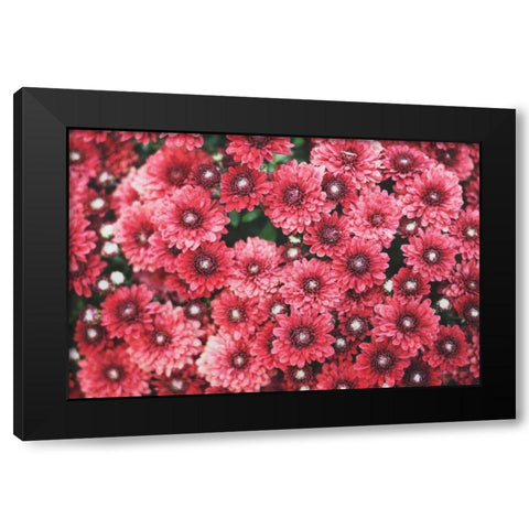 Autumn Flowers I Black Modern Wood Framed Art Print with Double Matting by Marshall, Laura