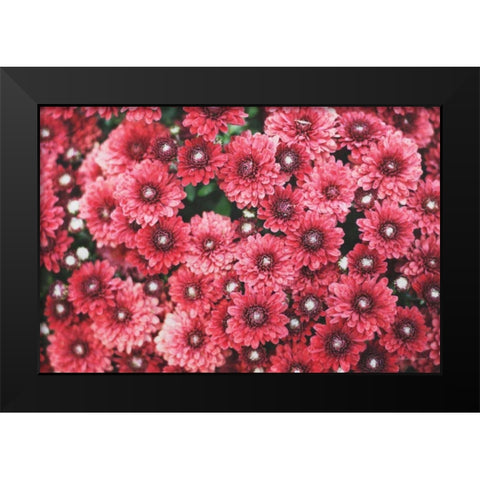 Autumn Flowers I Black Modern Wood Framed Art Print by Marshall, Laura