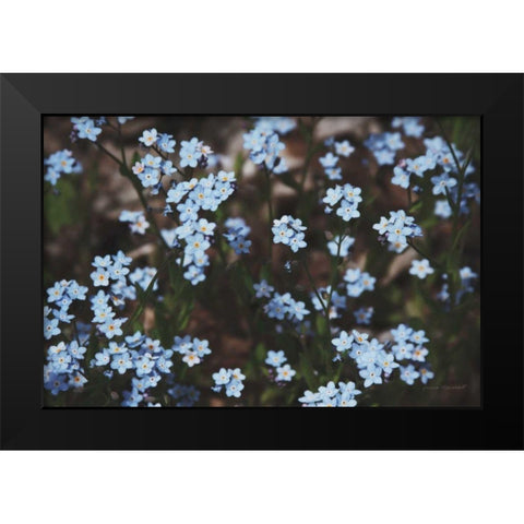 Forget Me Nots II Black Modern Wood Framed Art Print by Marshall, Laura