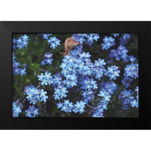Forget Me Nots III Black Modern Wood Framed Art Print by Marshall, Laura