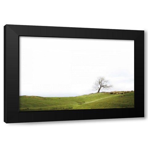 Dales Way I Black Modern Wood Framed Art Print with Double Matting by Marshall, Laura