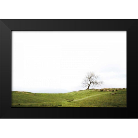 Dales Way I Black Modern Wood Framed Art Print by Marshall, Laura
