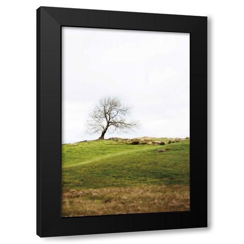 Dales Way II Black Modern Wood Framed Art Print with Double Matting by Marshall, Laura