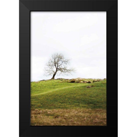 Dales Way II Black Modern Wood Framed Art Print by Marshall, Laura