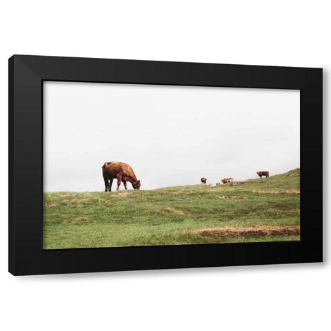 Lake District II Black Modern Wood Framed Art Print with Double Matting by Marshall, Laura