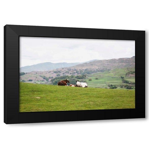 Lake District III Black Modern Wood Framed Art Print with Double Matting by Marshall, Laura
