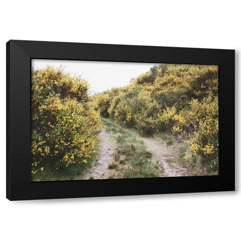 Scottish Highlands II Black Modern Wood Framed Art Print with Double Matting by Marshall, Laura