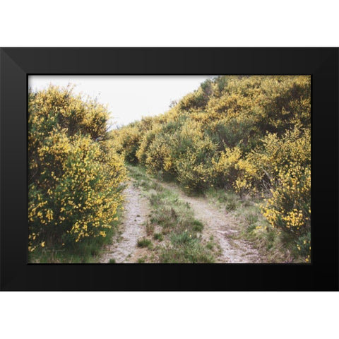 Scottish Highlands II Black Modern Wood Framed Art Print by Marshall, Laura