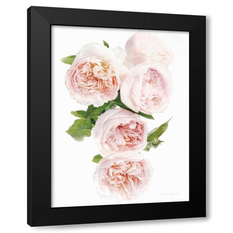 David Austin Cascade Black Modern Wood Framed Art Print by Catterall, Elise