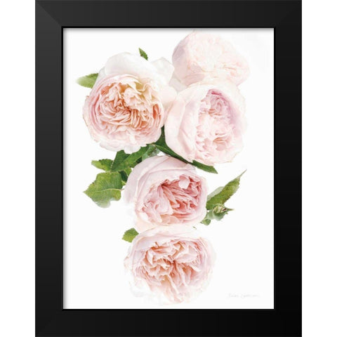 David Austin Cascade Black Modern Wood Framed Art Print by Catterall, Elise