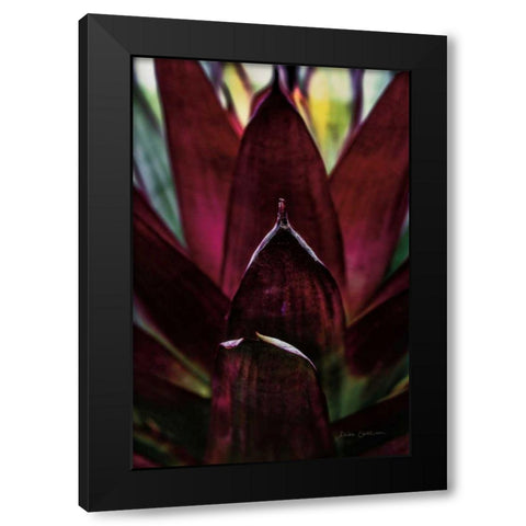 Succulent Detail I Black Modern Wood Framed Art Print with Double Matting by Catterall, Elise
