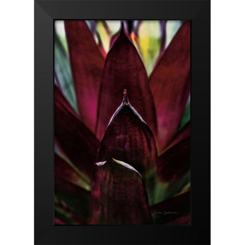 Succulent Detail I Black Modern Wood Framed Art Print by Catterall, Elise