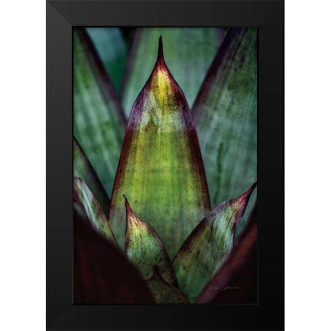 Succulent Detail II Black Modern Wood Framed Art Print by Catterall, Elise