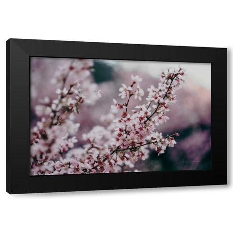 Cherry Blossom Black Modern Wood Framed Art Print with Double Matting by Catterall, Elise