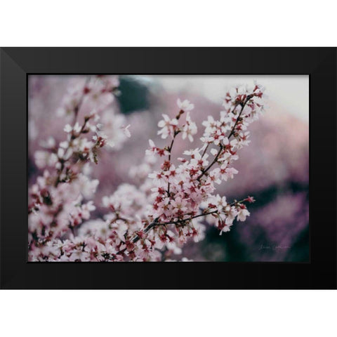 Cherry Blossom Black Modern Wood Framed Art Print by Catterall, Elise