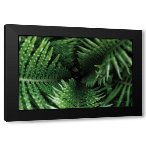 Fern Detail Black Modern Wood Framed Art Print with Double Matting by Catterall, Elise