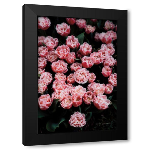 Fringed Tulips Black Modern Wood Framed Art Print with Double Matting by Catterall, Elise