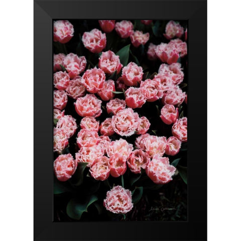 Fringed Tulips Black Modern Wood Framed Art Print by Catterall, Elise