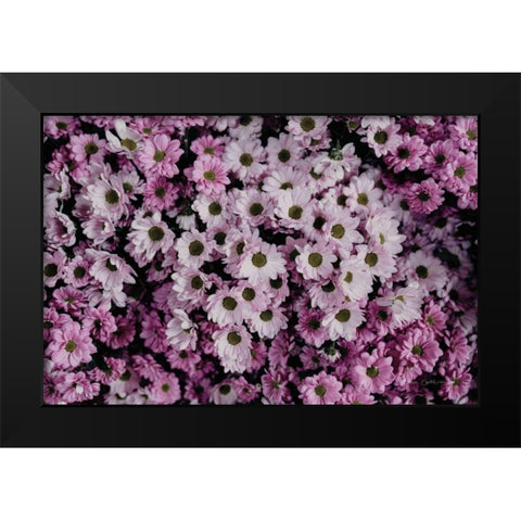 Pale Daisies Black Modern Wood Framed Art Print by Catterall, Elise
