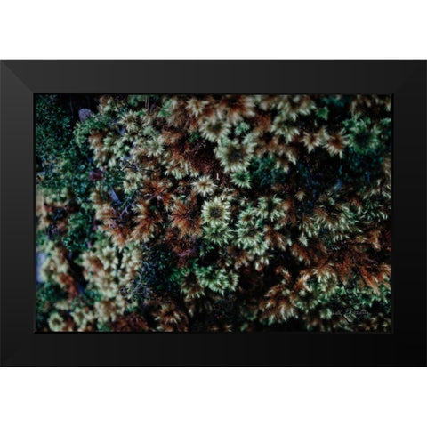 Moss Detail Black Modern Wood Framed Art Print by Catterall, Elise