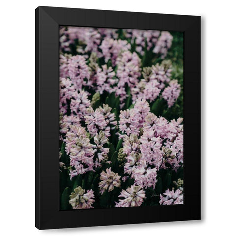 Hyacinth Closeup Black Modern Wood Framed Art Print with Double Matting by Catterall, Elise