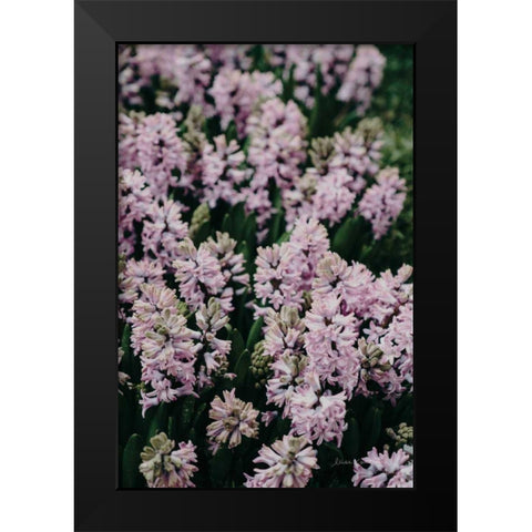 Hyacinth Closeup Black Modern Wood Framed Art Print by Catterall, Elise