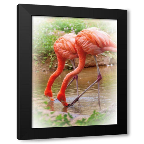 Two Flamingos Black Modern Wood Framed Art Print with Double Matting by Van Swearingen, Debra
