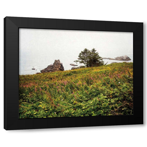 Oregon Coast Black Modern Wood Framed Art Print with Double Matting by Van Swearingen, Debra