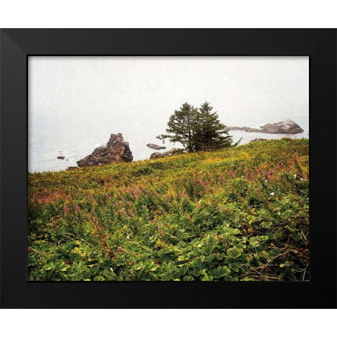 Oregon Coast Black Modern Wood Framed Art Print by Van Swearingen, Debra