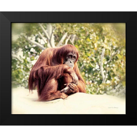 Orangutan Black Modern Wood Framed Art Print by Van Swearingen, Debra