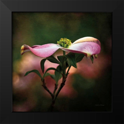 Pink Dogwood I Black Modern Wood Framed Art Print by Van Swearingen, Debra