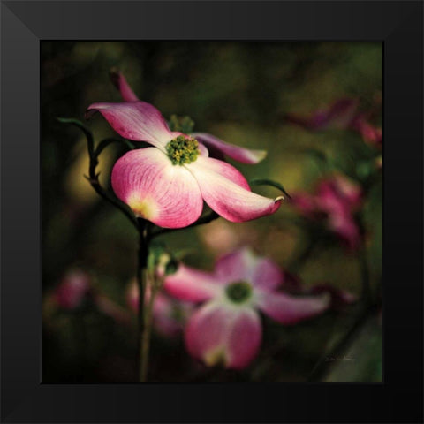 Pink Dogwood II Black Modern Wood Framed Art Print by Van Swearingen, Debra