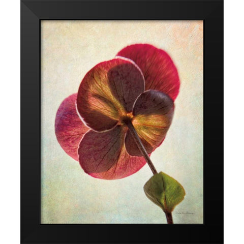 Lenton Rose II Black Modern Wood Framed Art Print by Van Swearingen, Debra