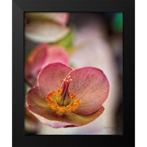 Lenton Rose III Black Modern Wood Framed Art Print by Van Swearingen, Debra