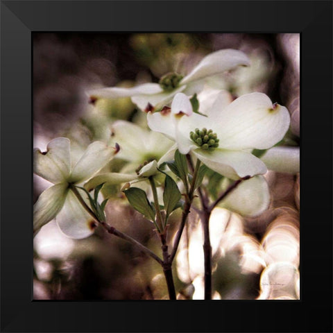 White Dogwood II Black Modern Wood Framed Art Print by Van Swearingen, Debra