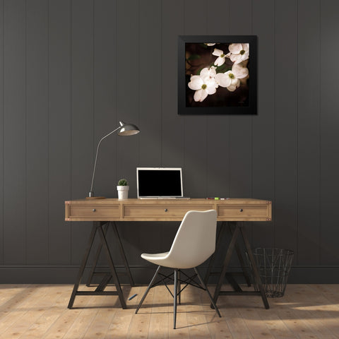 White Dogwood III Black Modern Wood Framed Art Print by Van Swearingen, Debra