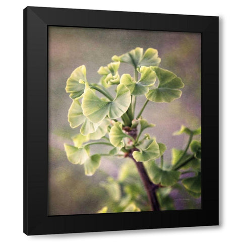 Sprouting Ginkgo I Black Modern Wood Framed Art Print with Double Matting by Van Swearingen, Debra