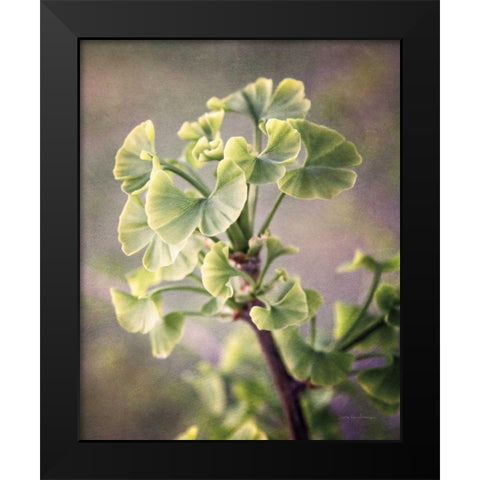 Sprouting Ginkgo I Black Modern Wood Framed Art Print by Van Swearingen, Debra