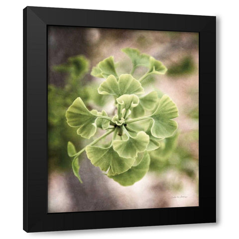 Sprouting Ginkgo II Black Modern Wood Framed Art Print with Double Matting by Van Swearingen, Debra