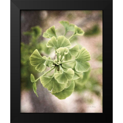Sprouting Ginkgo II Black Modern Wood Framed Art Print by Van Swearingen, Debra