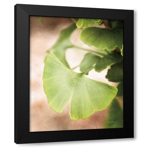 Sprouting Ginkgo III Black Modern Wood Framed Art Print with Double Matting by Van Swearingen, Debra