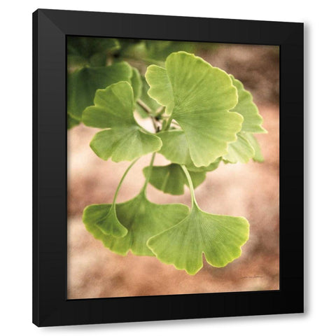 Sprouting Ginkgo IV Black Modern Wood Framed Art Print with Double Matting by Van Swearingen, Debra