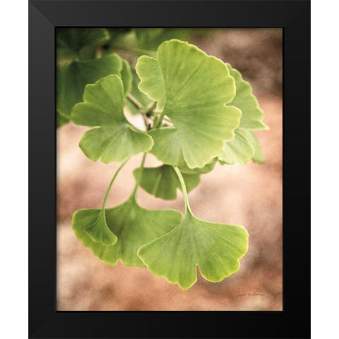 Sprouting Ginkgo IV Black Modern Wood Framed Art Print by Van Swearingen, Debra