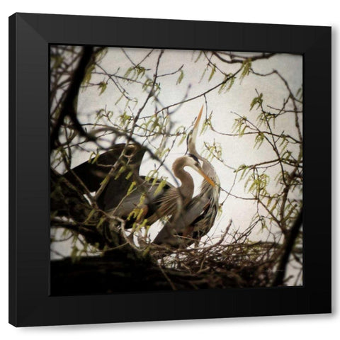 Connection Black Modern Wood Framed Art Print by Van Swearingen, Debra