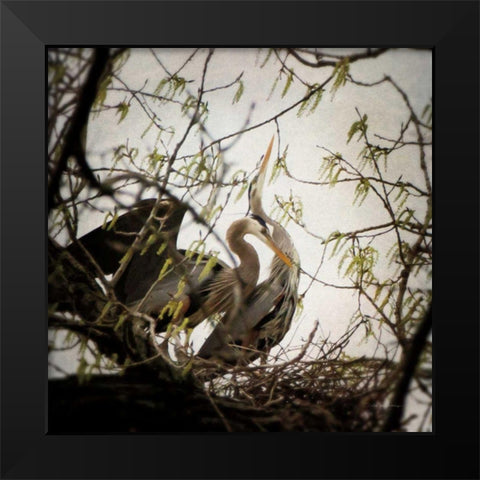 Connection Black Modern Wood Framed Art Print by Van Swearingen, Debra