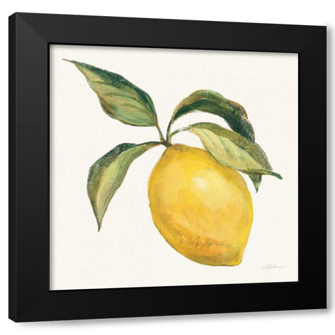 Le Citron on Cream Black Modern Wood Framed Art Print with Double Matting by Vassileva, Silvia